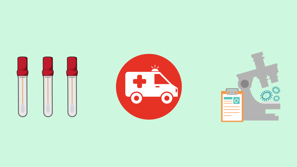 image of graphic icons of the pcr nasal swab covid test